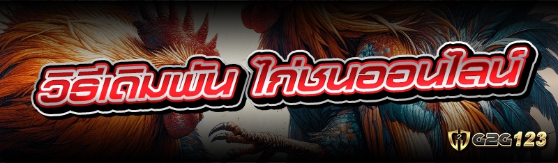 ไก่ชนออนไลน์