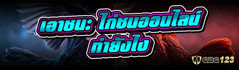 ไก่ชนออนไลน์