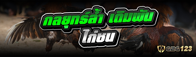 เดิมพันไก่ชน