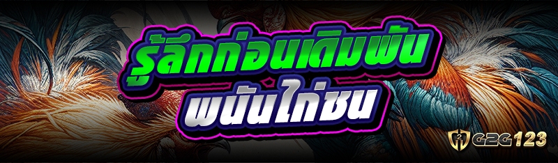 พนันไก่ชน
