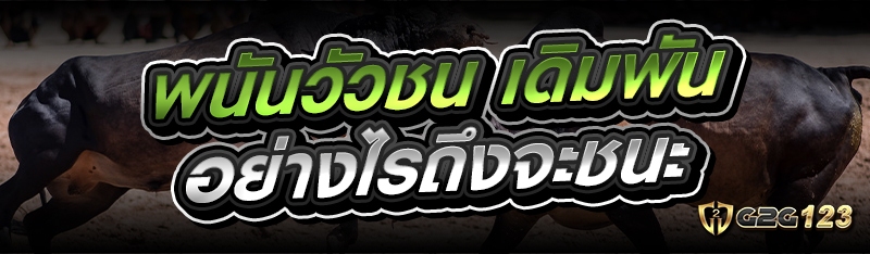 พนันวัวชน
